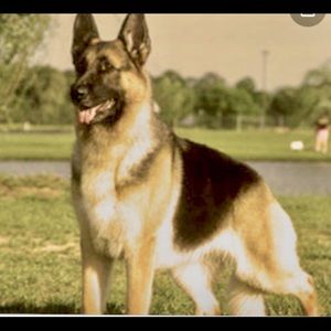 Meet your Posher, Jeffrey